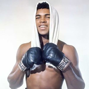 Meet your Posher, Darius